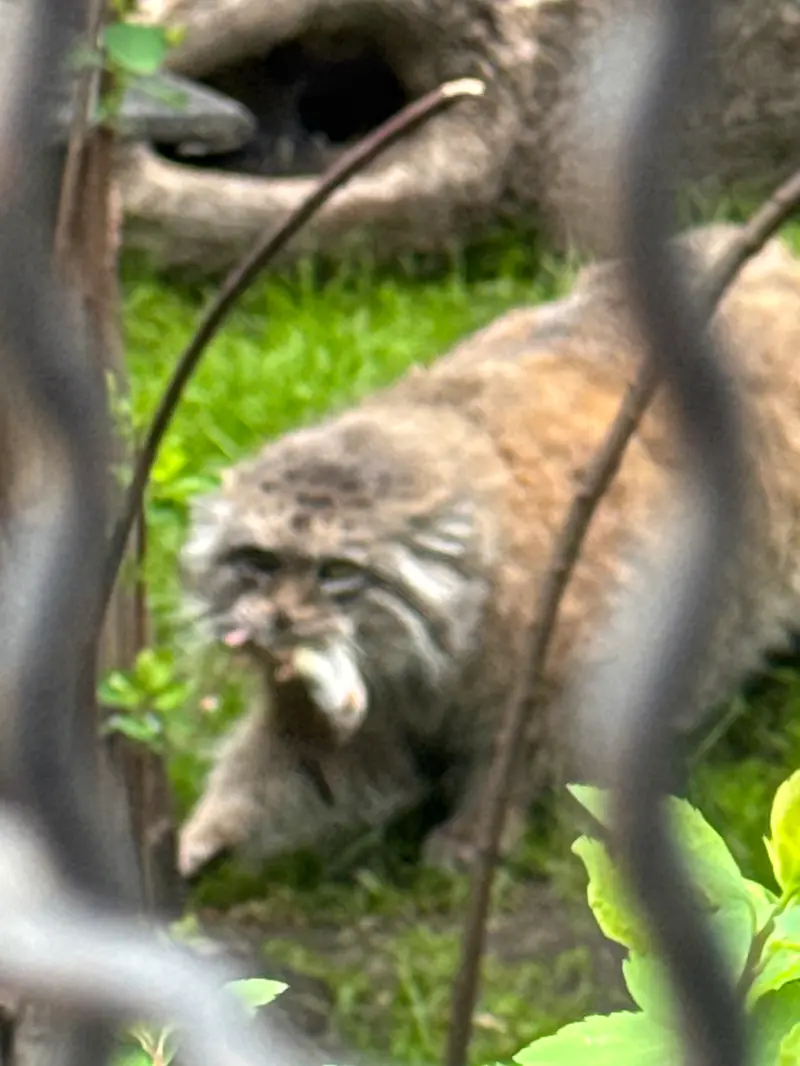 A photograph of Jessie in Warsaw Zoo