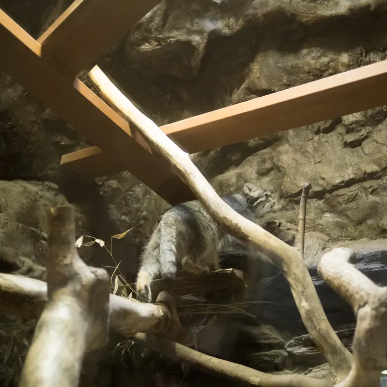 A photograph of Klyon in Ueno Zoological Gardens