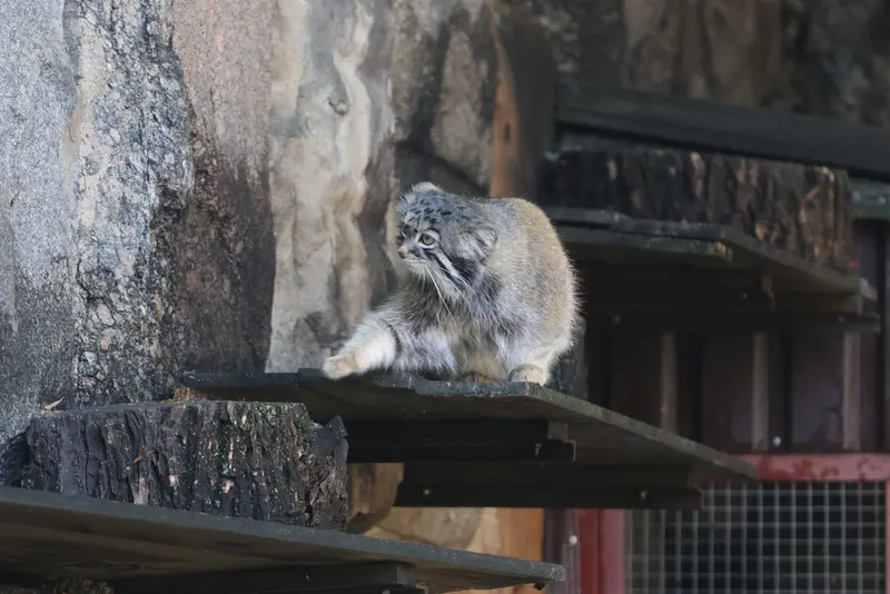 A photograph of Timofey in Moscow zoo