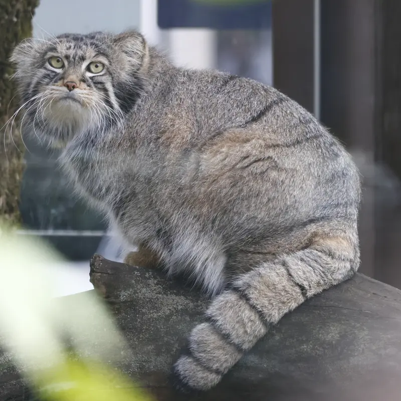 A photograph of Timofey in Moscow zoo