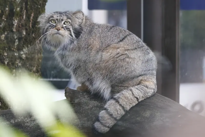 A photograph of Timofey in Moscow zoo