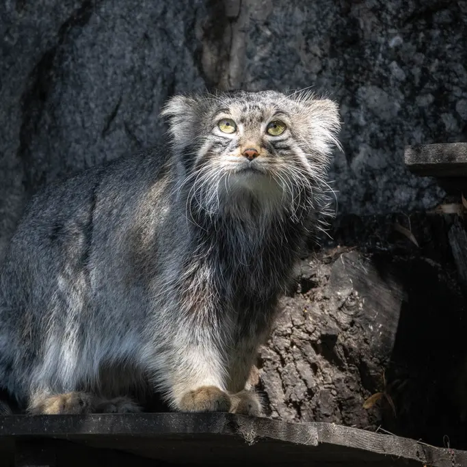 A photograph of Timofey in Moscow zoo