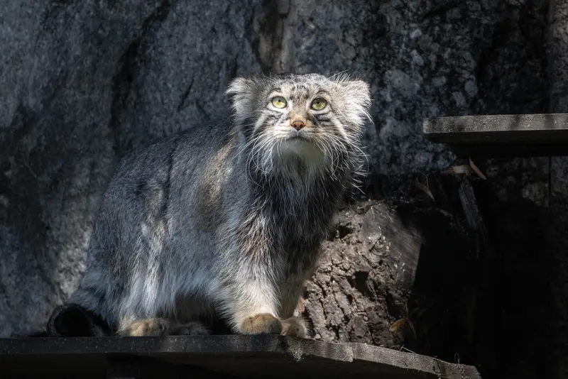 A photograph of Timofey in Moscow zoo