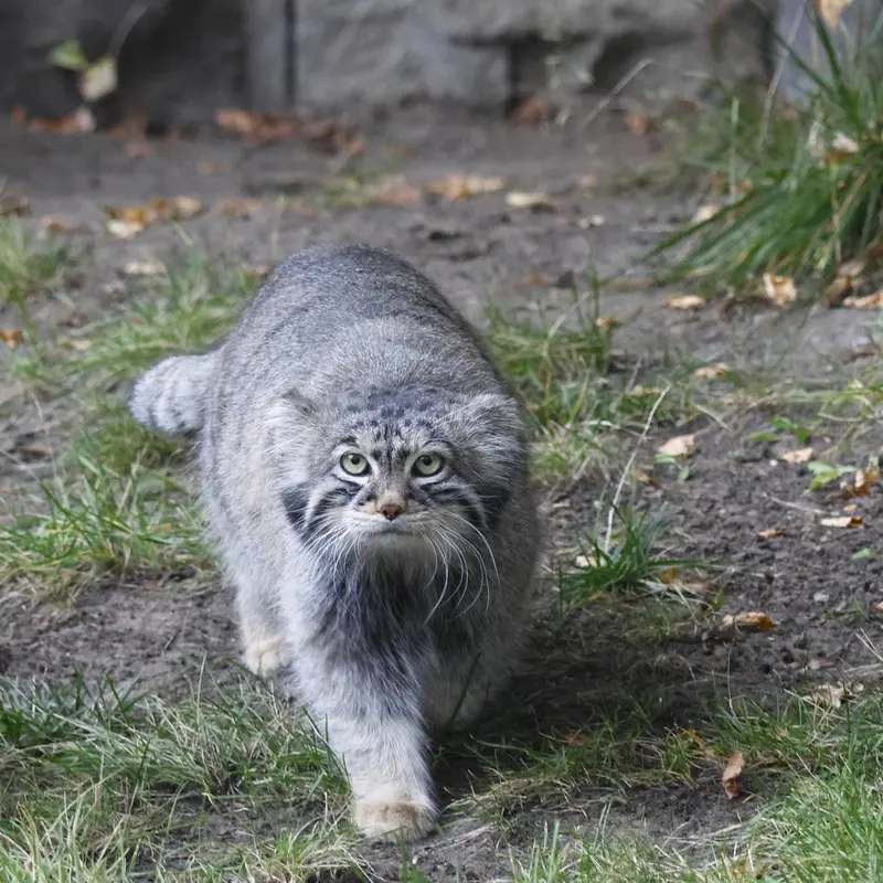 A photograph of Timofey in Moscow zoo