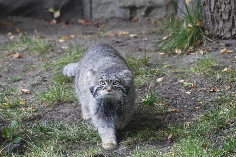 A photograph of Timofey in Moscow zoo
