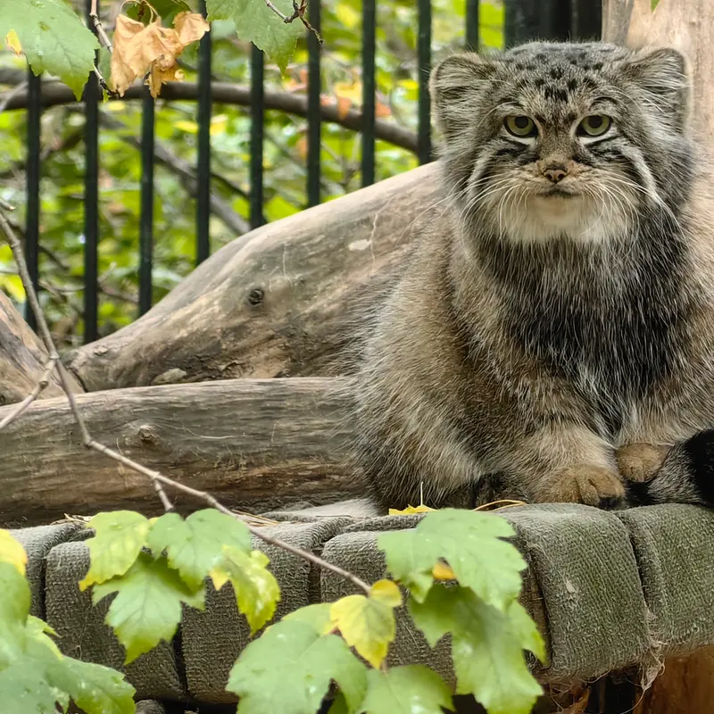 A photograph of Anya in Novosibirsk Zoo