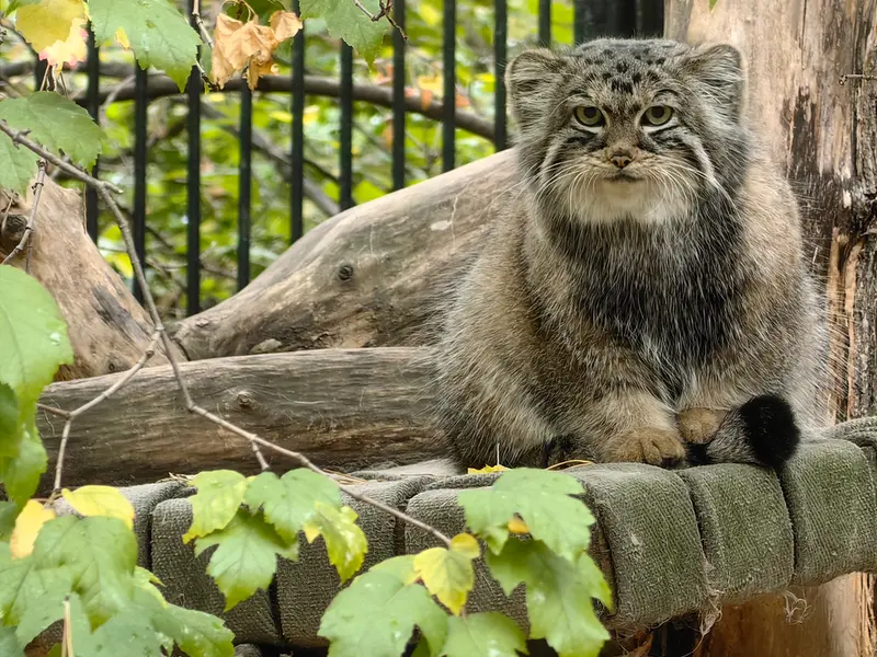 A photograph of Anya in Novosibirsk Zoo