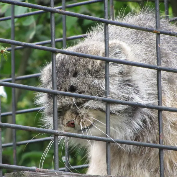 A photograph of Jonathan in Magdeburg Zoo