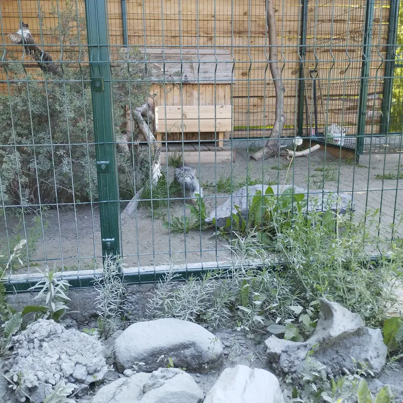 A photograph of Pepe in Barnaul zoo “Lesnaya skazka”