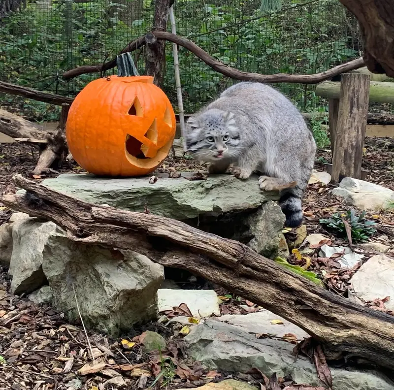 A photograph of Dean in Oglebay Good Zoo