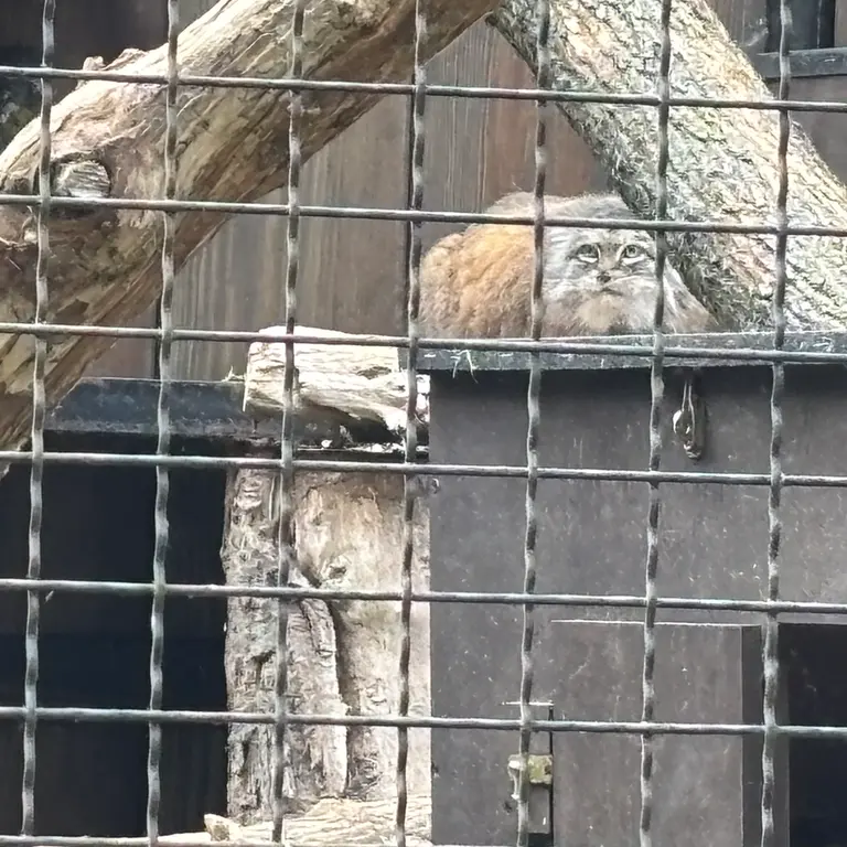 A photograph of Jessie in Warsaw Zoo
