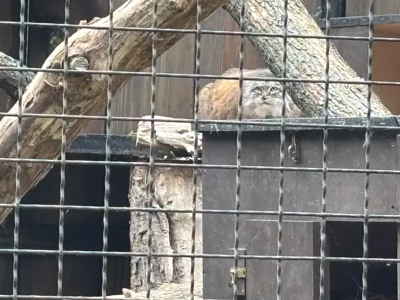 A photograph of Jessie in Warsaw Zoo