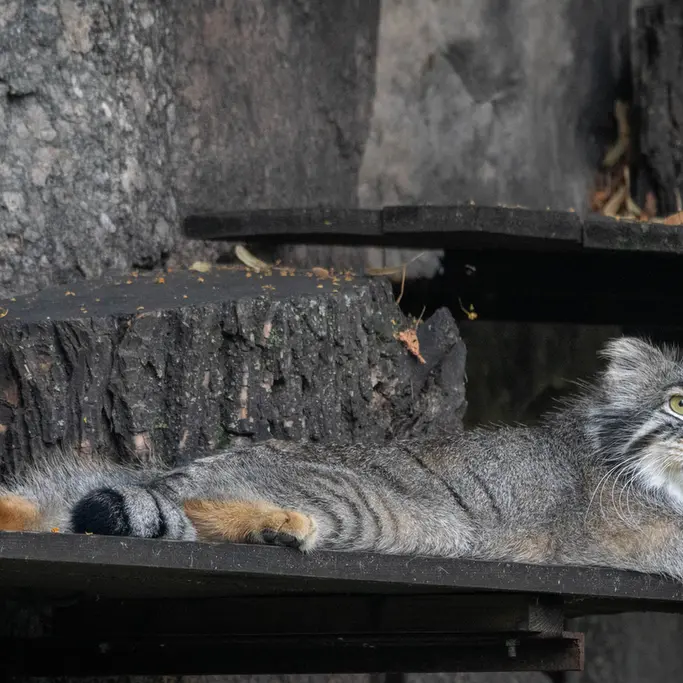 A photograph of Timofey in Moscow zoo