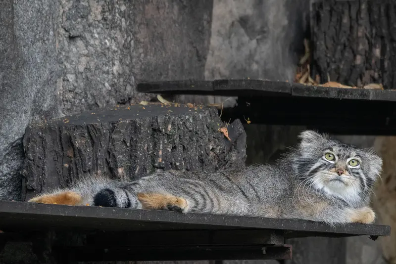 A photograph of Timofey in Moscow zoo