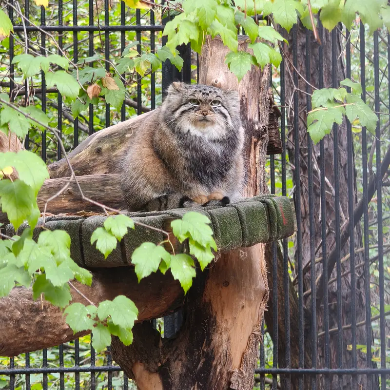A photograph of Anya in Novosibirsk Zoo