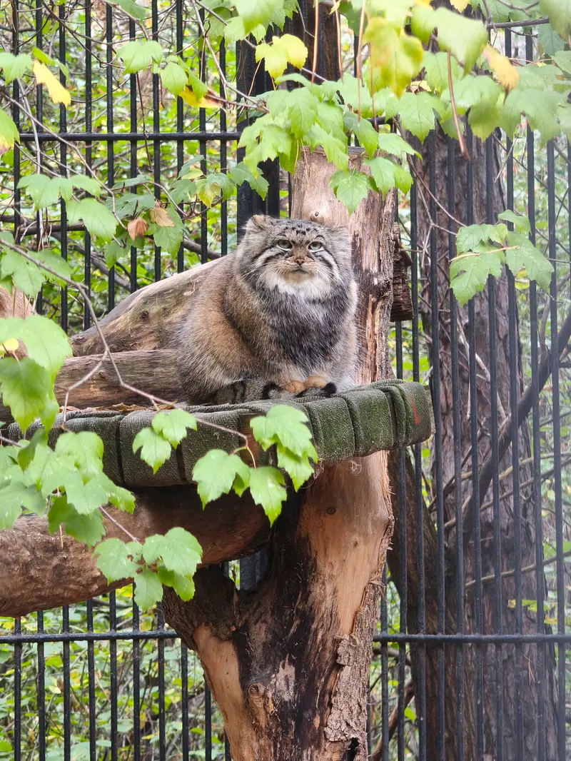 A photograph of Anya in Novosibirsk Zoo