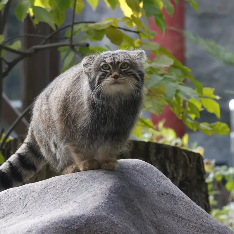 A photograph of Timofey in Moscow zoo