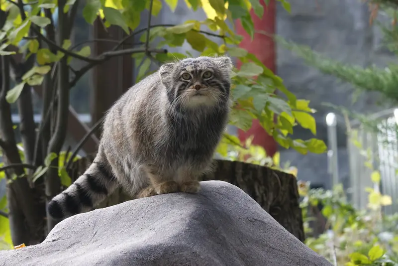 A photograph of Timofey in Moscow zoo