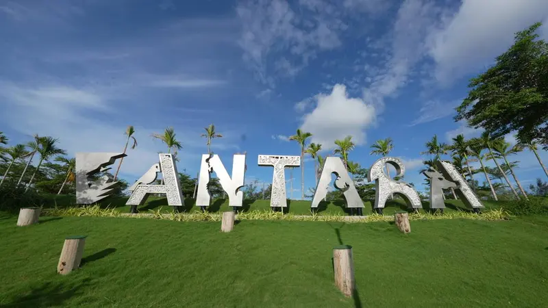 A photograph of a Pallas's cat