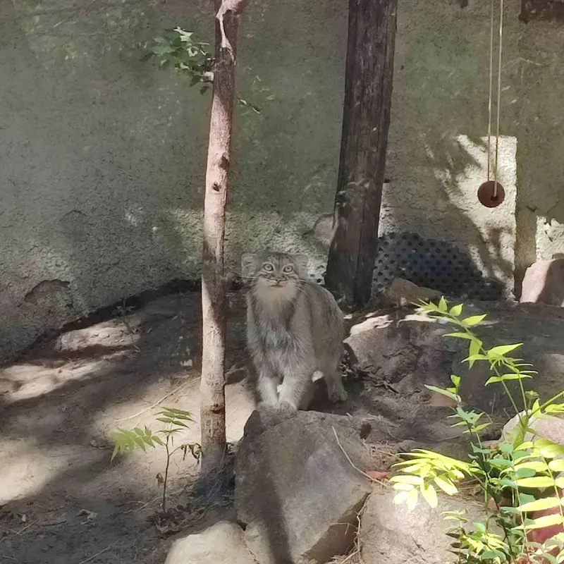 A photograph of Lucy in Budapest Zoo & Botanical Garden
