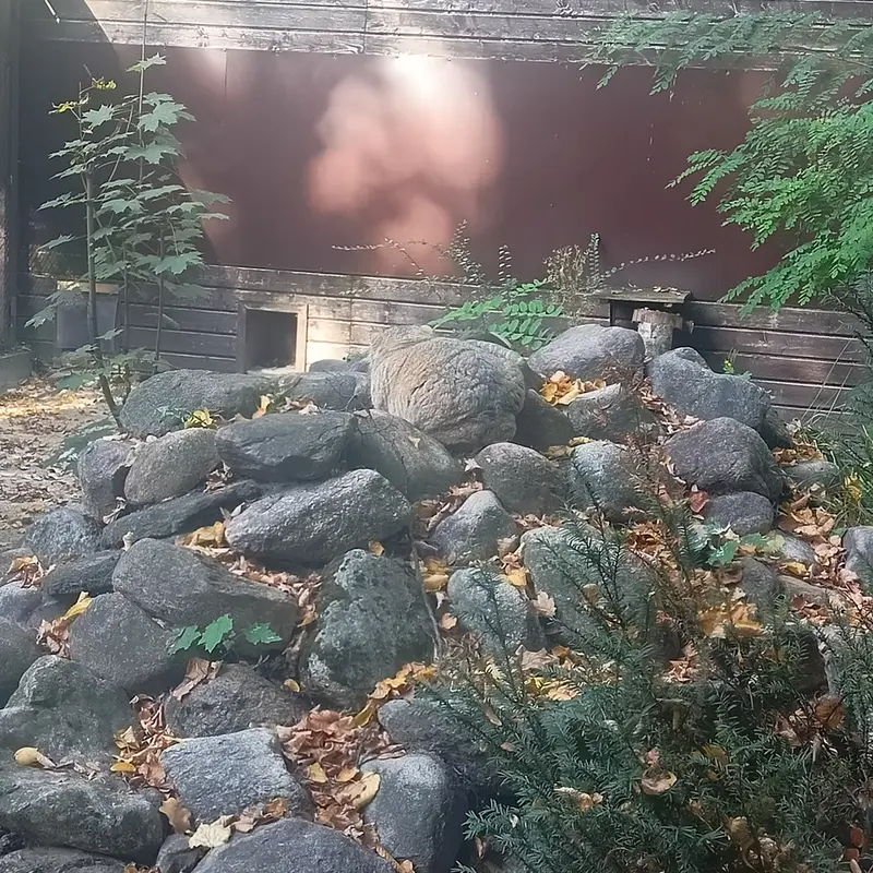 A photograph of Bozenka in Poznan New Zoo