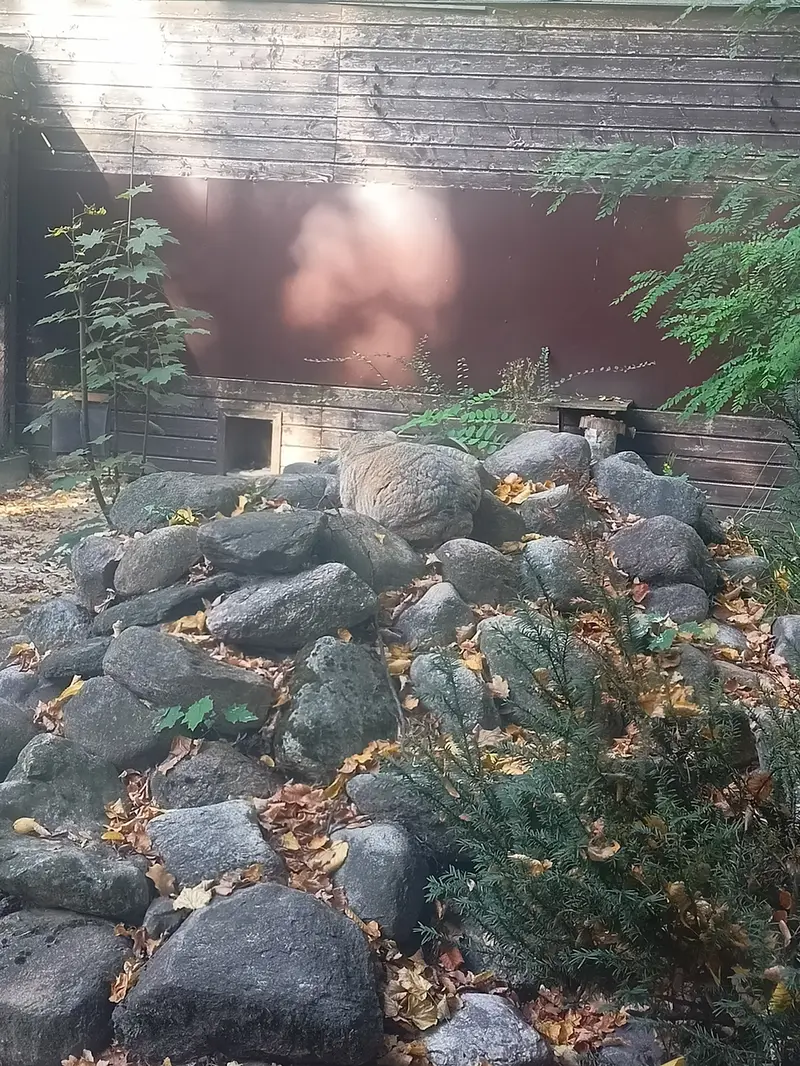 A photograph of Bozenka in Poznan New Zoo