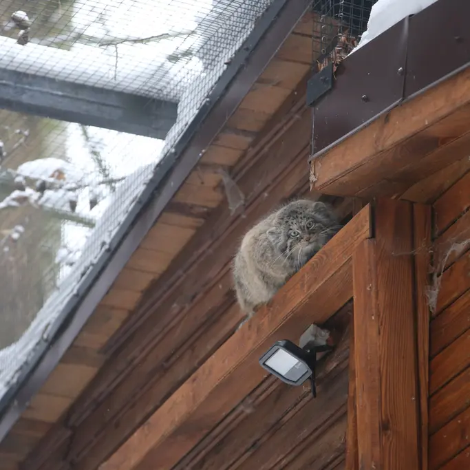 A photograph of Ula in Gdansk Zoo