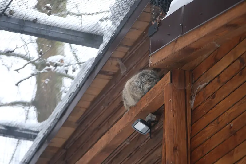 A photograph of Ula in Gdansk Zoo