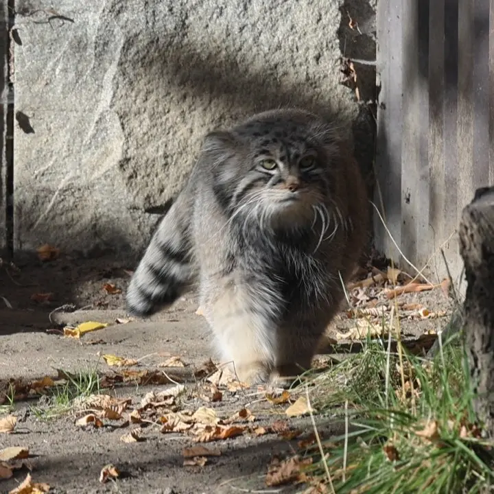 A photograph of Timofey in Moscow zoo