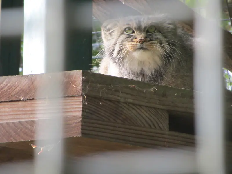 A photograph of Karl-Heinz in Saarbrücken Zoo