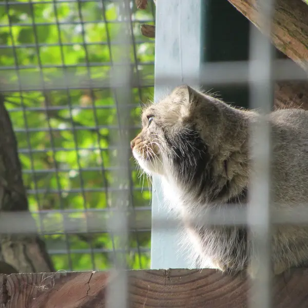 A photograph of Karl-Heinz in Saarbrücken Zoo