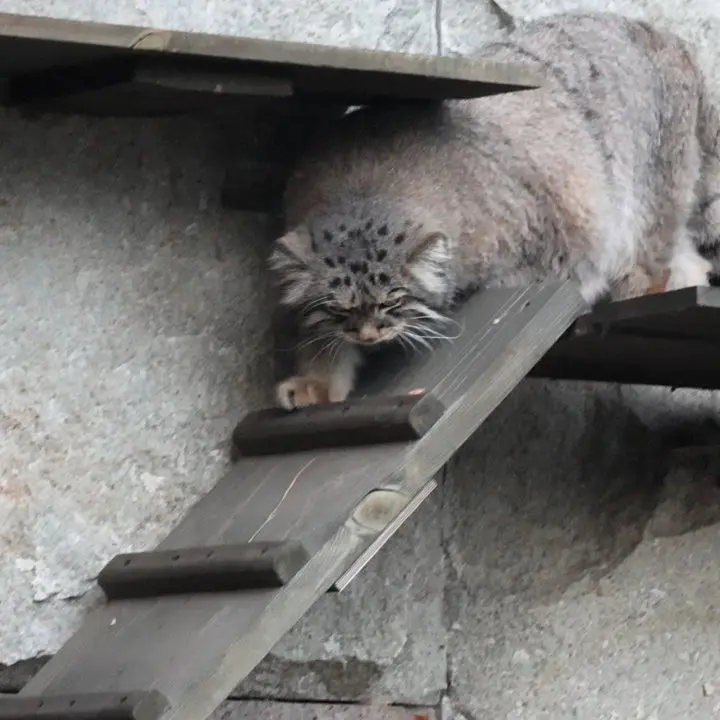 A photograph of Timofey in Moscow zoo