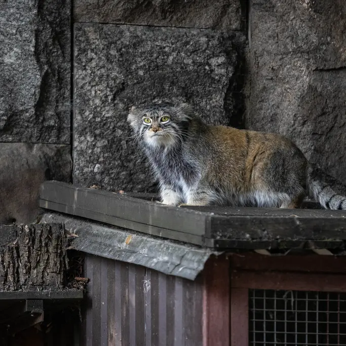 A photograph of Timofey in Moscow zoo