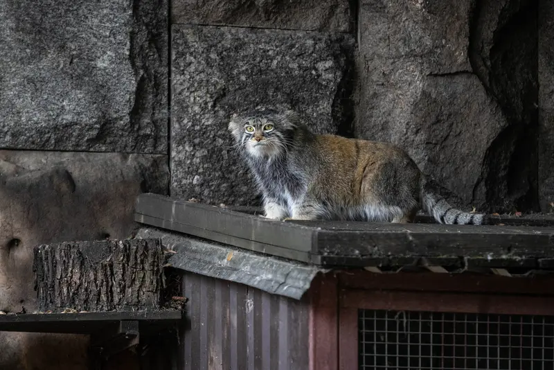 A photograph of Timofey in Moscow zoo