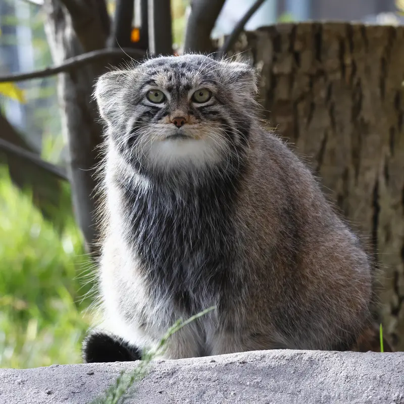 A photograph of Timofey in Moscow zoo