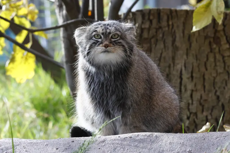 A photograph of Timofey in Moscow zoo