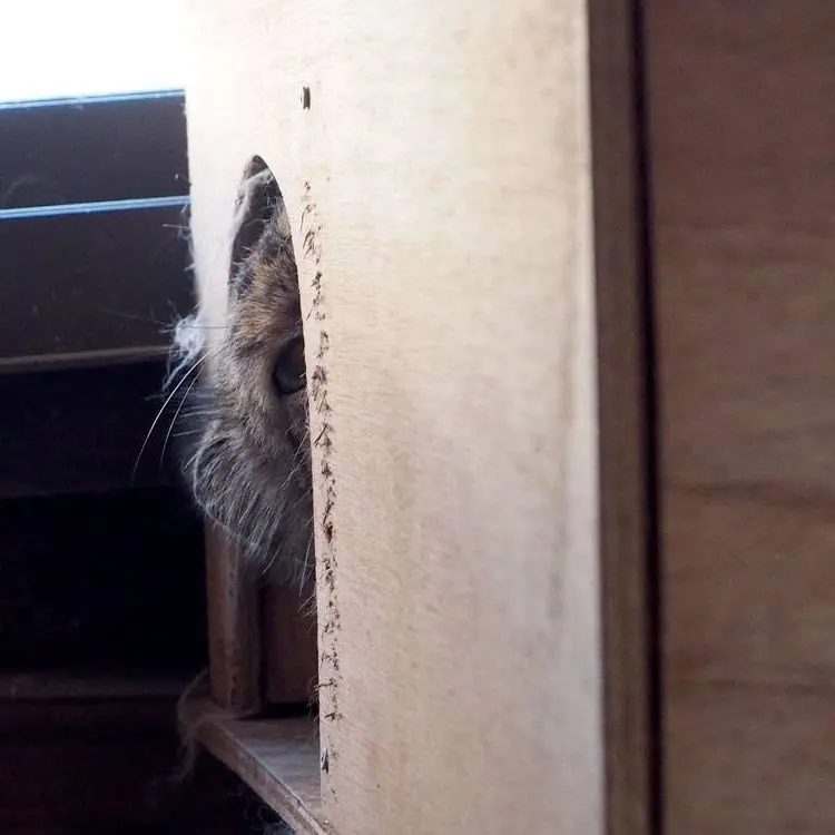 A photograph of Sebastian in Saitama Children's Zoo
