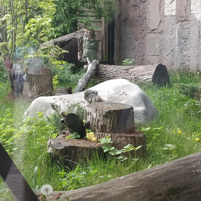 A photograph of Timofey in Moscow zoo