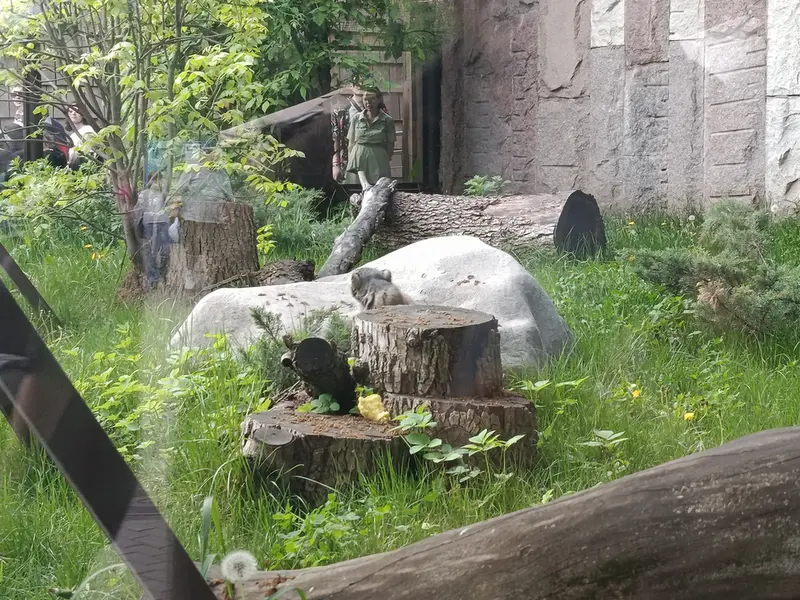 A photograph of Timofey in Moscow zoo