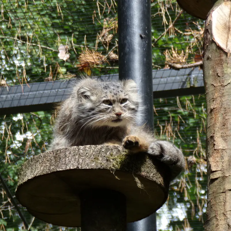 A photograph of Manuel in Gdansk Zoo
