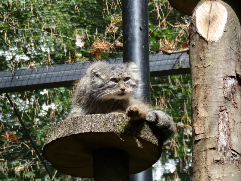 A photograph of Manuel in Gdansk Zoo