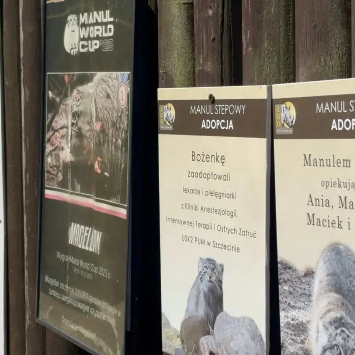 A photograph of Magellan in Poznan New Zoo