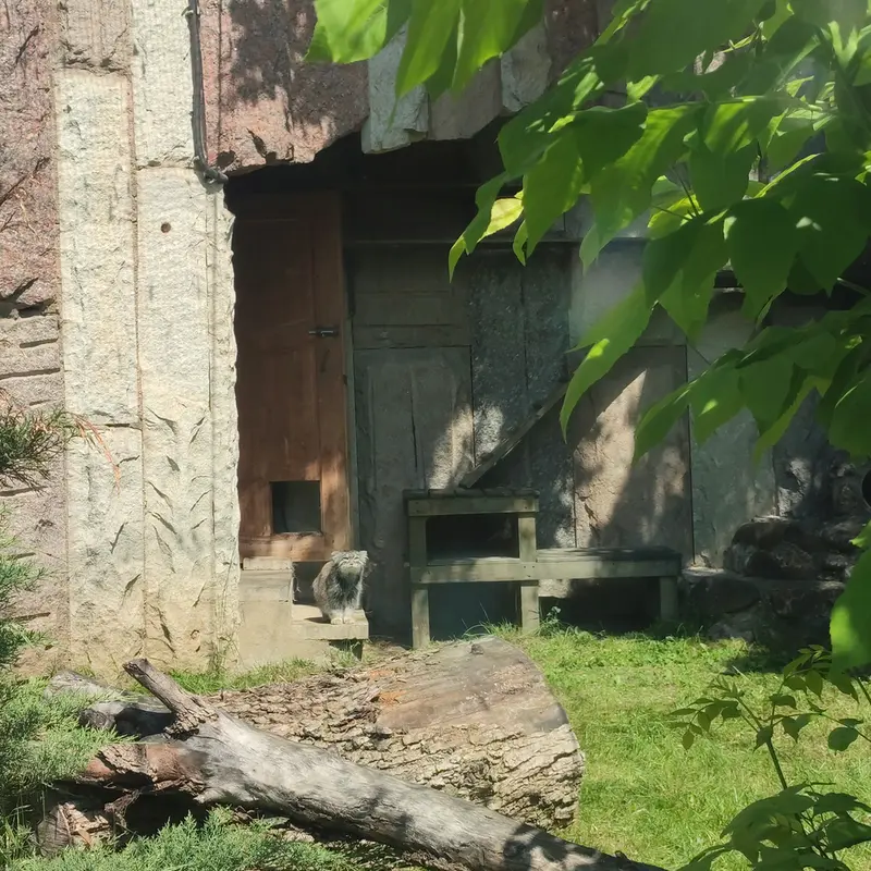 A photograph of Timofey in Moscow zoo