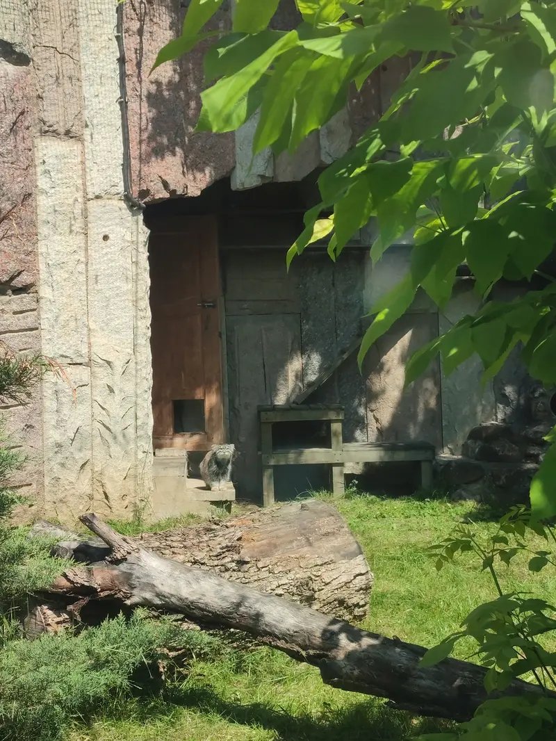 A photograph of Timofey in Moscow zoo