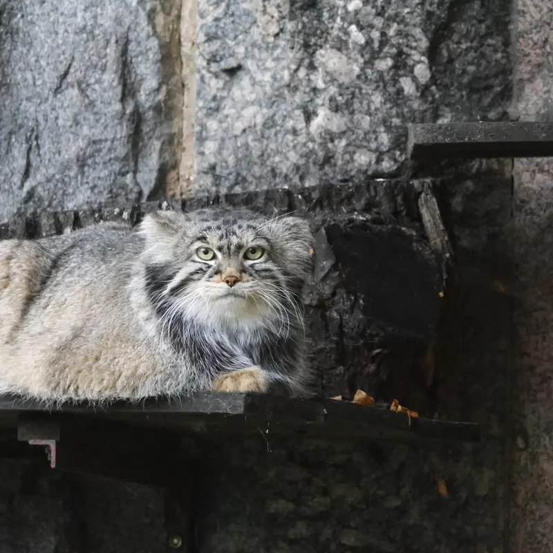 A photograph of Timofey in Moscow zoo