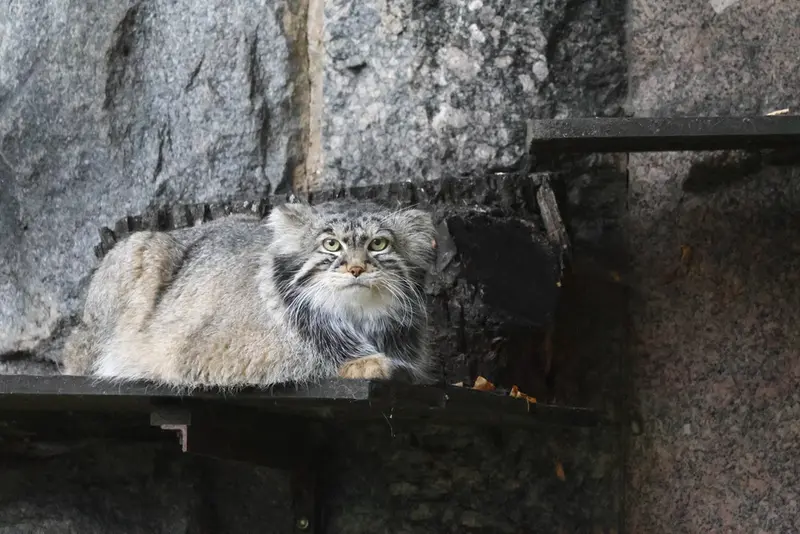 A photograph of Timofey in Moscow zoo