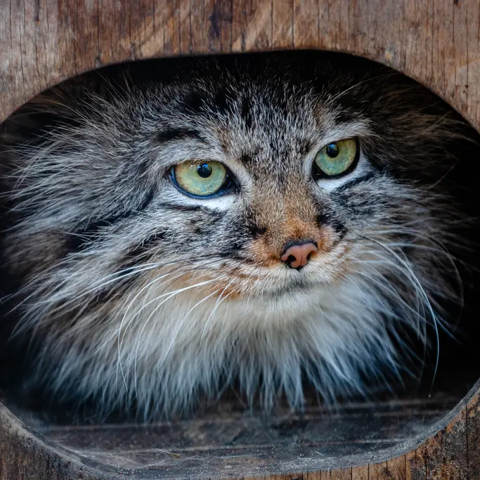 A photograph of Gabi in Novosibirsk Zoo