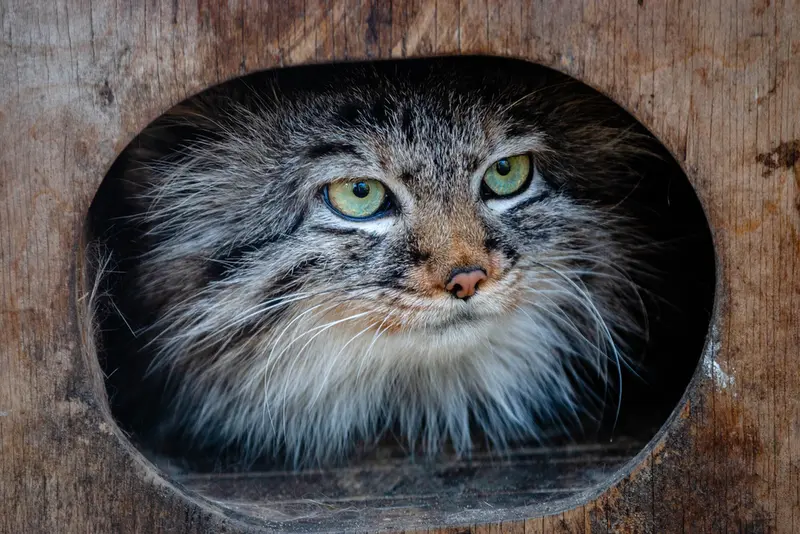 A photograph of Gabi in Novosibirsk Zoo