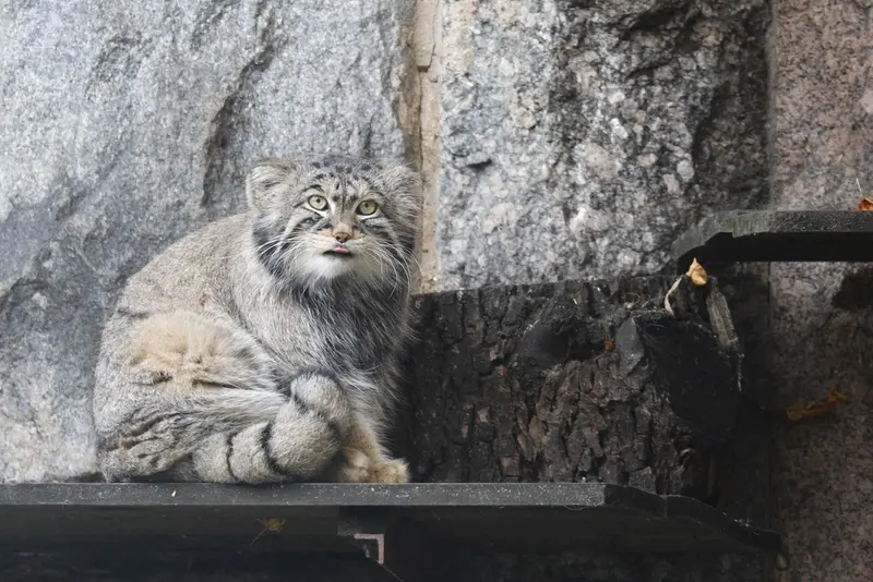 A photograph of Timofey in Moscow zoo