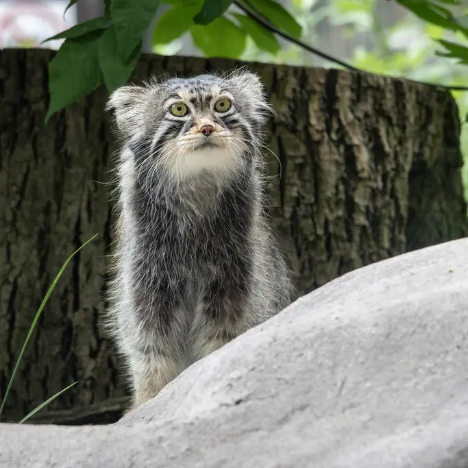 A photograph of Timofey in Moscow zoo
